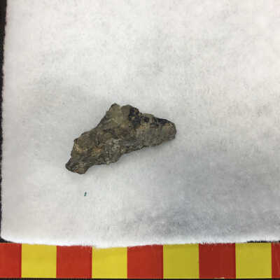 Mars Rock