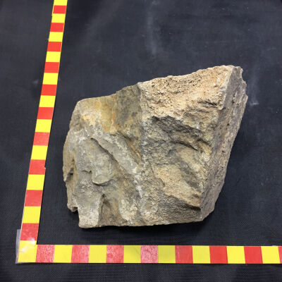 Calcareous Sandstone