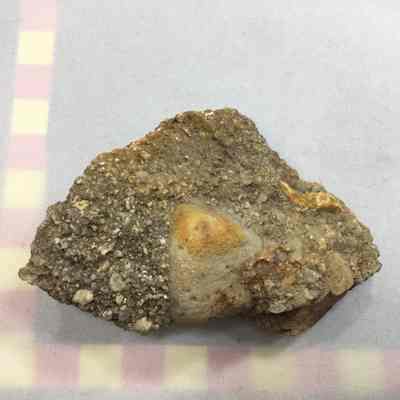 Conglomerate Table Rock Quarry