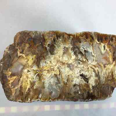 Plume Agate