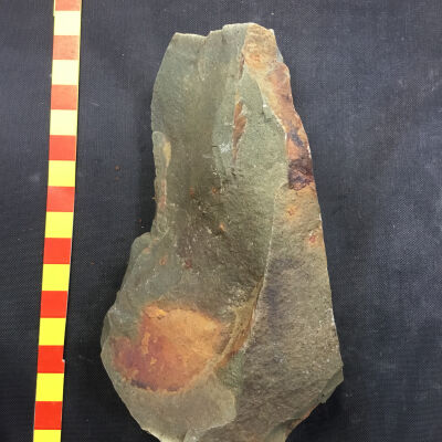 Mudstone