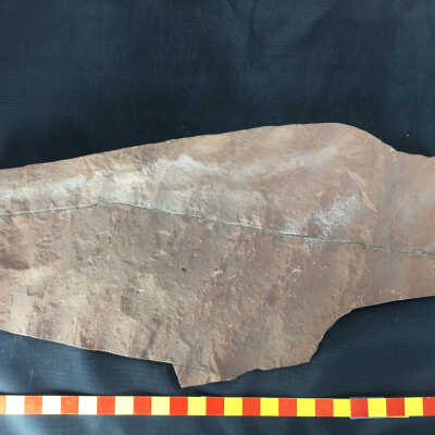 Ripple Marks in Sandstone