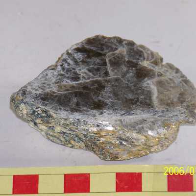 Muscovite