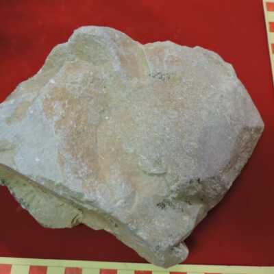 Talc