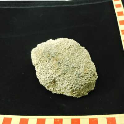 Oolite