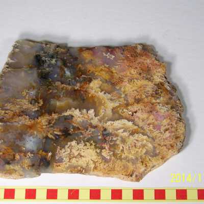Plume Agate
