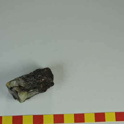 Gold Quartz