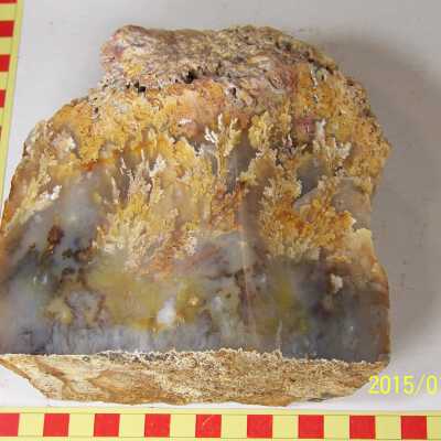 Plume Agate