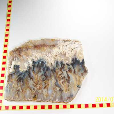 Plume Agate