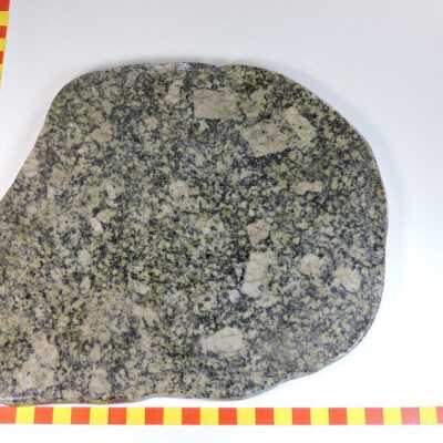 Porphyritic Granodiorite