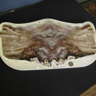 Fossilized Plant