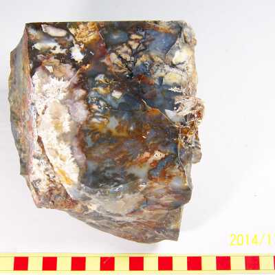 Plume Agate