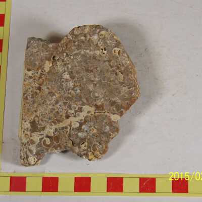 Opalite