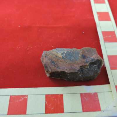 Petrified Wood
