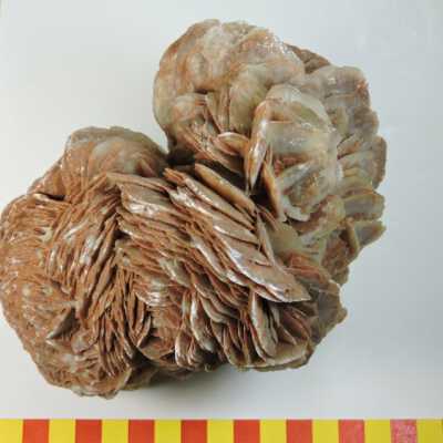 Selenite Gypsum