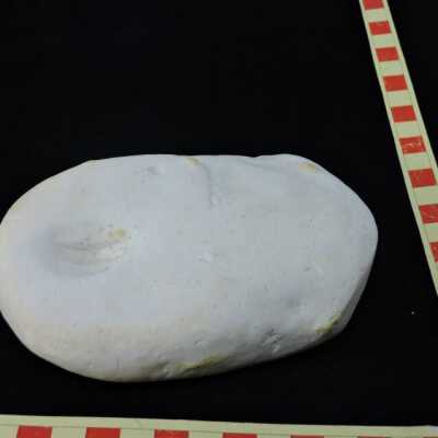 Diatomite