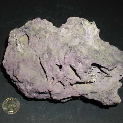 Fossil