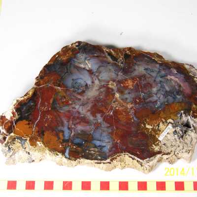 Plume Agate