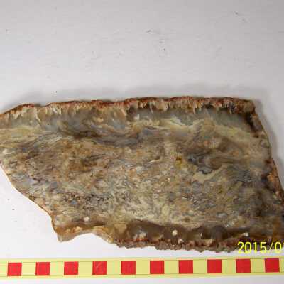 Plume Agate