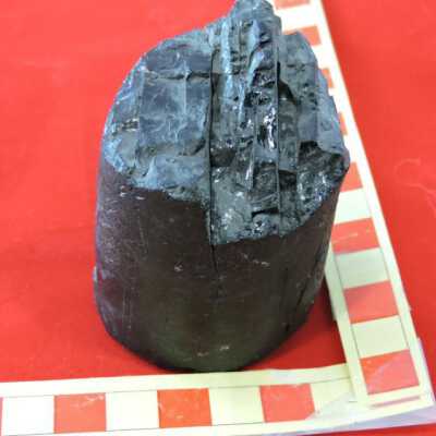 Coal