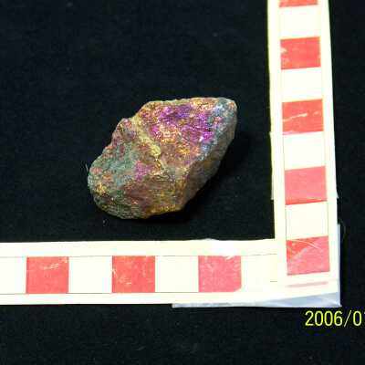 Bornite