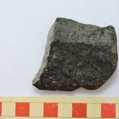 Biotite