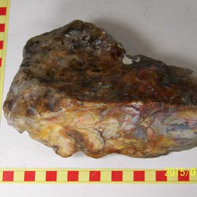 Jasper