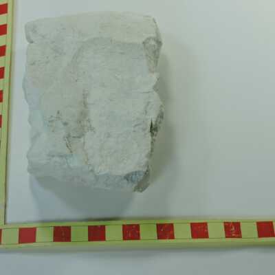 Diatomite