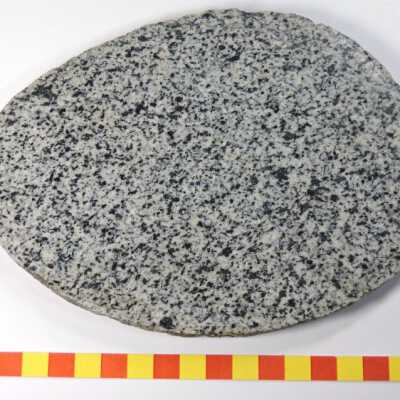 Biotite Granodiorite