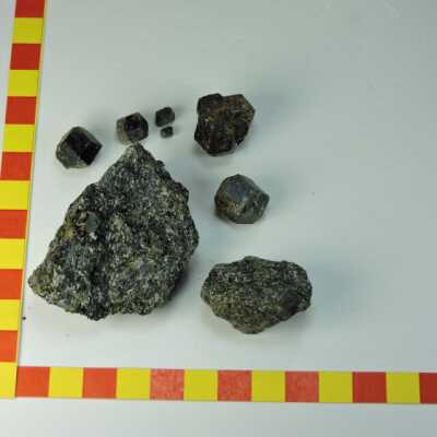 Garnet