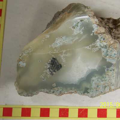 Plume Agate