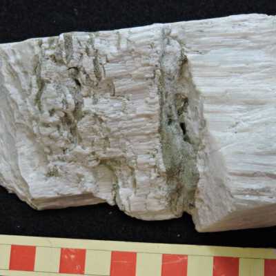 Anthophyllite