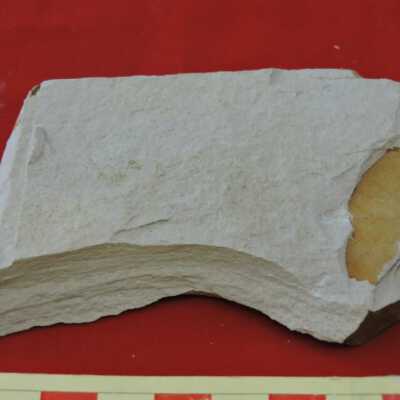 Shale