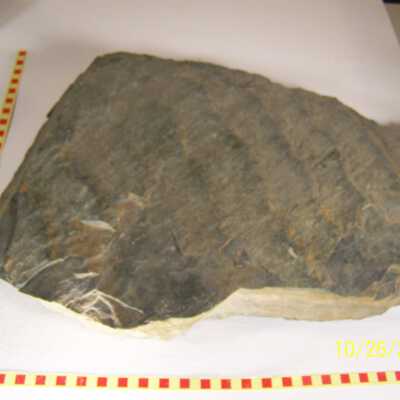 Quartzite