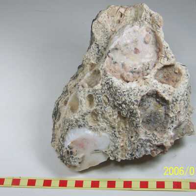 Opal