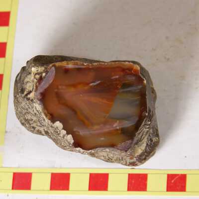 Jasper