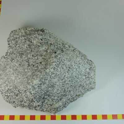 Biotite Grandodiorite