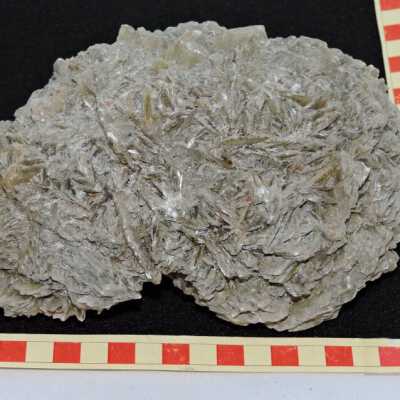 Colemanite