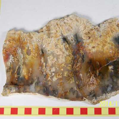 Plume Agate