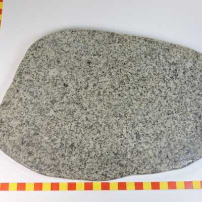 Biotite Granodiorite