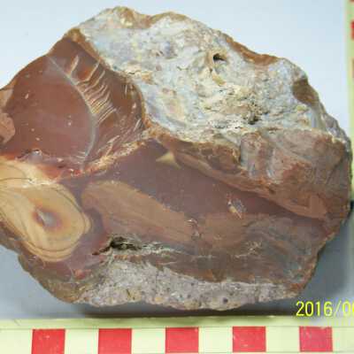 Jasper