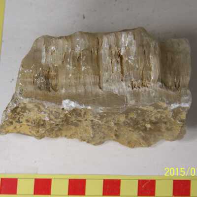 Gypsum