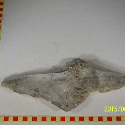 Selenite