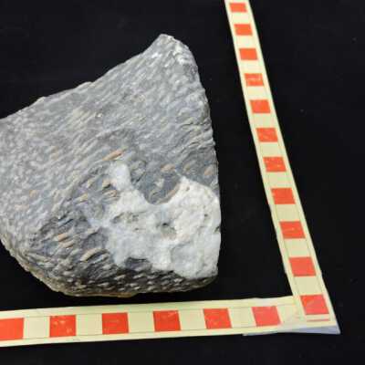 Limestone