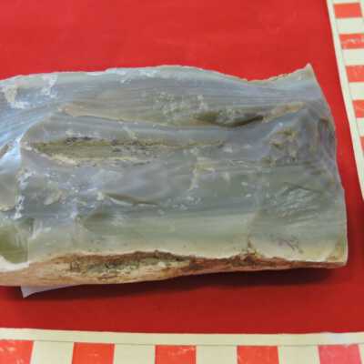 Petrified Wood