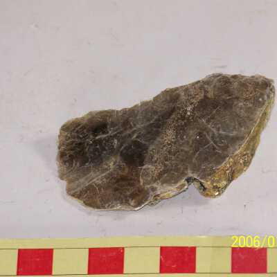 Muscovite