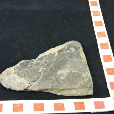Shale