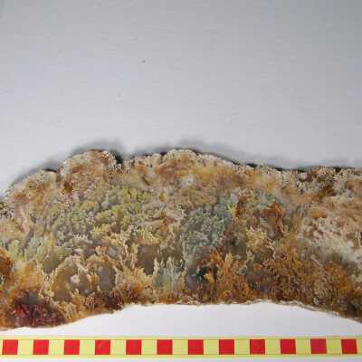 Plume Agate