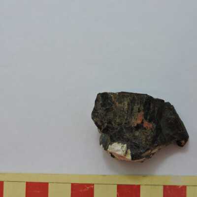 Biotite
