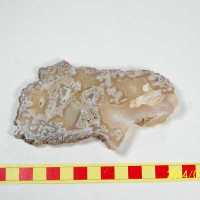 Plume Agate